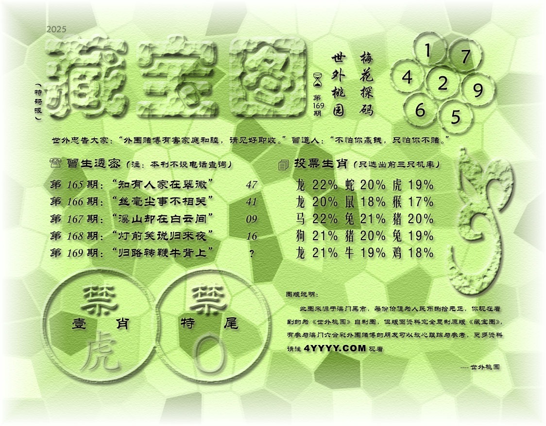 20250618125942-1750222782307-am9t1169.jpg